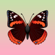 scintilla