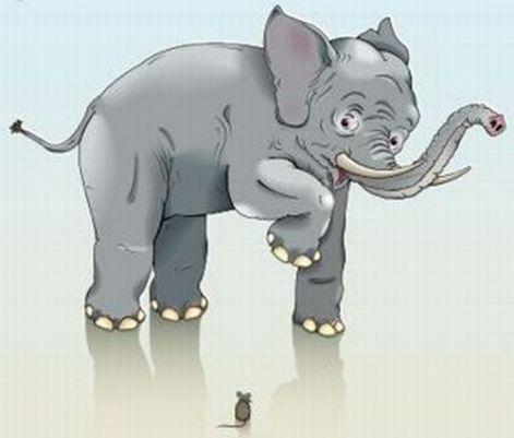 Слон и мышь