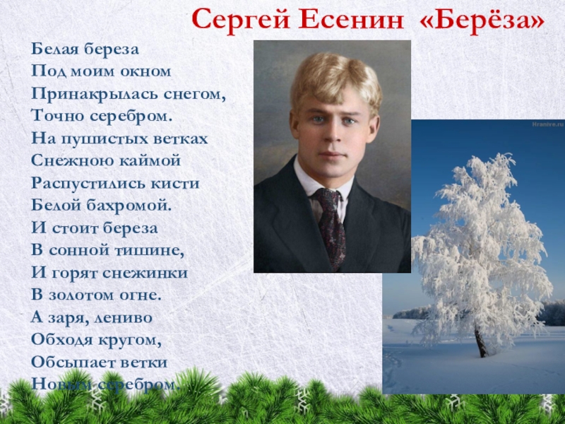 «Береза»: исконно русское в творчестве Есенина