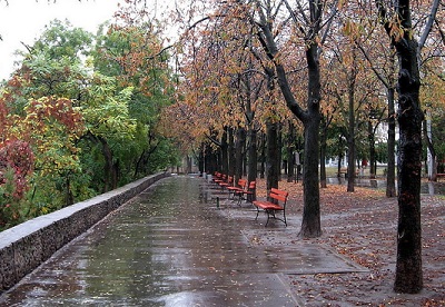 Осенний бульвар