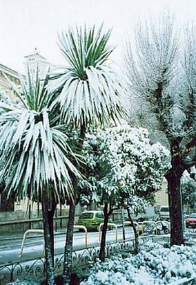 Снег в переулках Барселоны