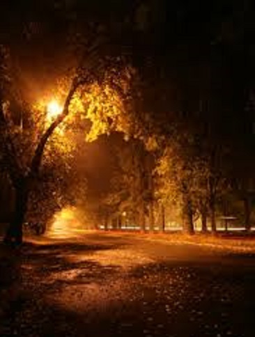 Осенняя таинственная ночь