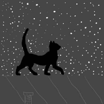 Кот под звёздами...