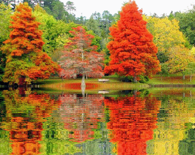 Осеннее отражение