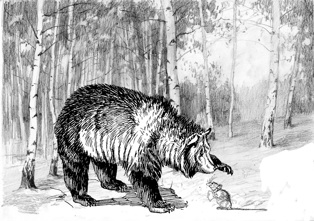 Сказки Старого Ежа - Как мышка медведя перехитрила