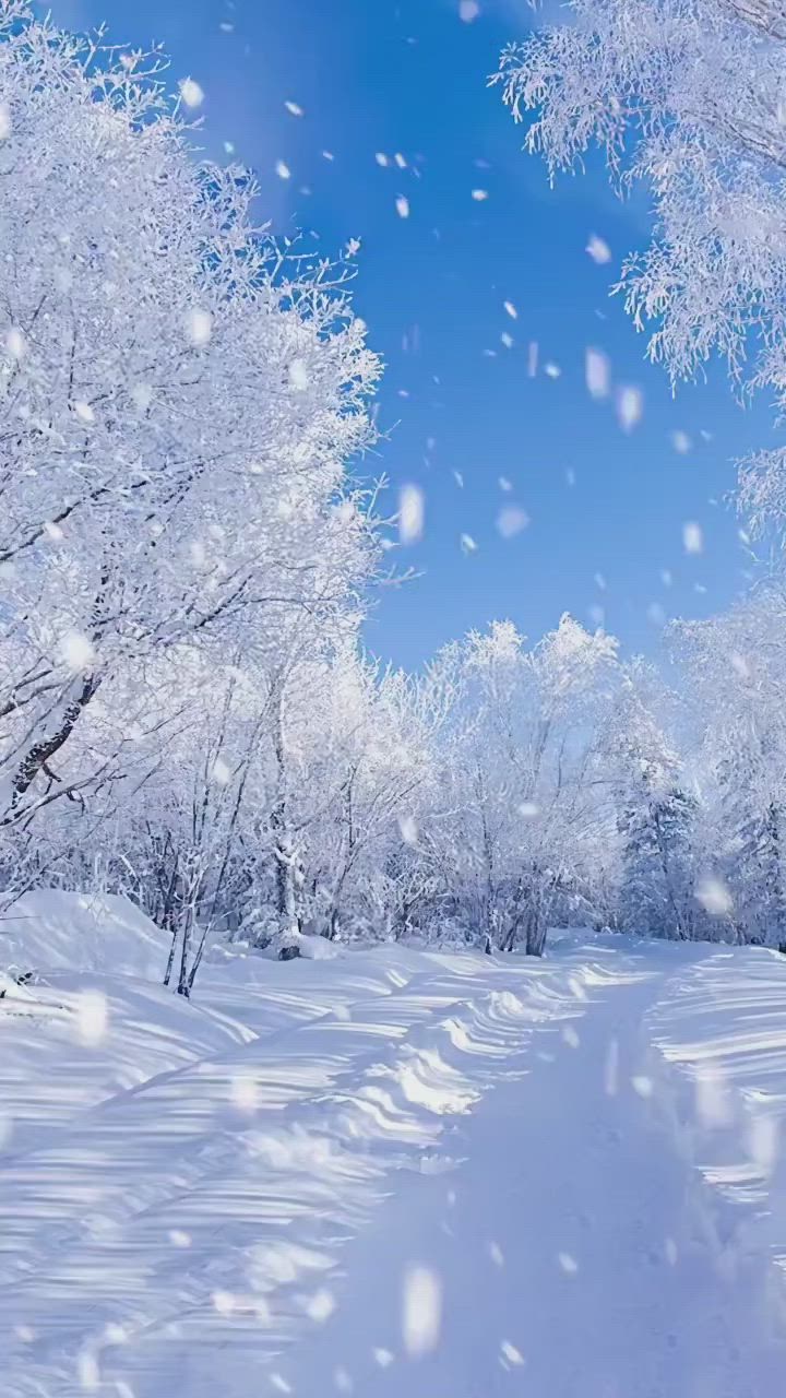 Снежная зима.