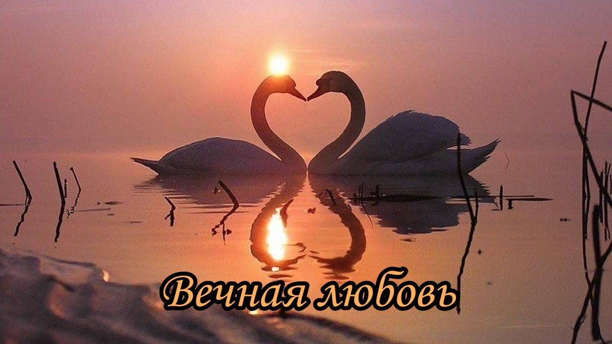 Песнь любви.