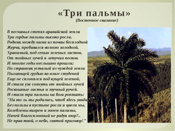 «Три пальмы» — зеркало множества эпох