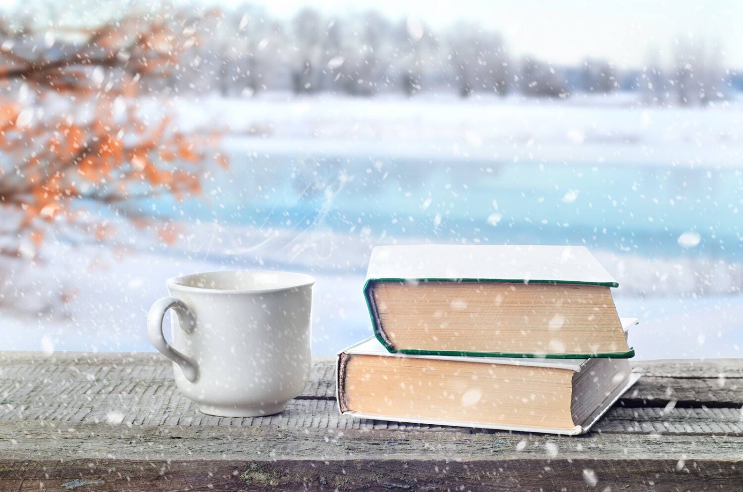 «Зимние» книги под Новый год