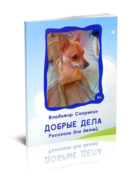 Кликните для увеличения изображения Добрые дела. Владимир Сапрыкин